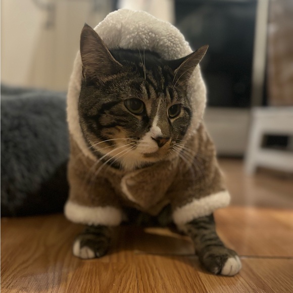 Meet your Posher, Otto - Picture 16 of 16